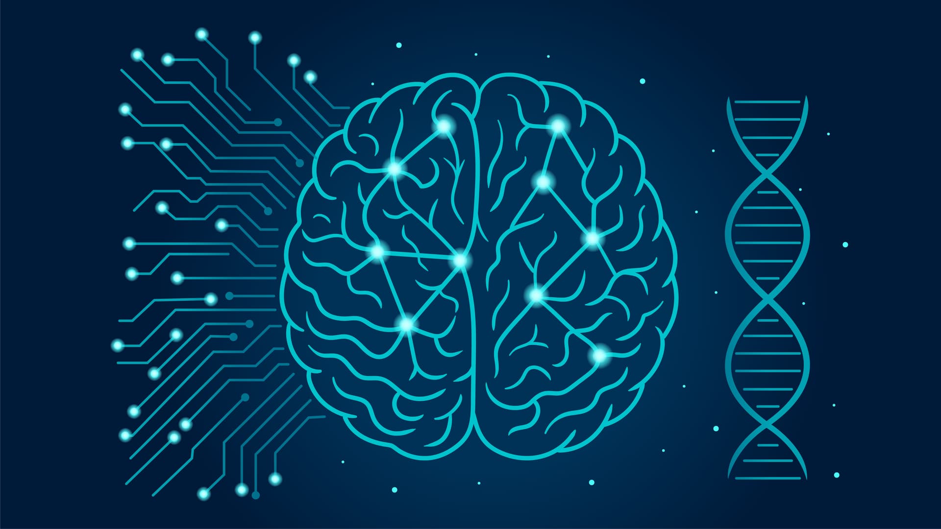 Learn and Build a Neural Network with PyTorch Online